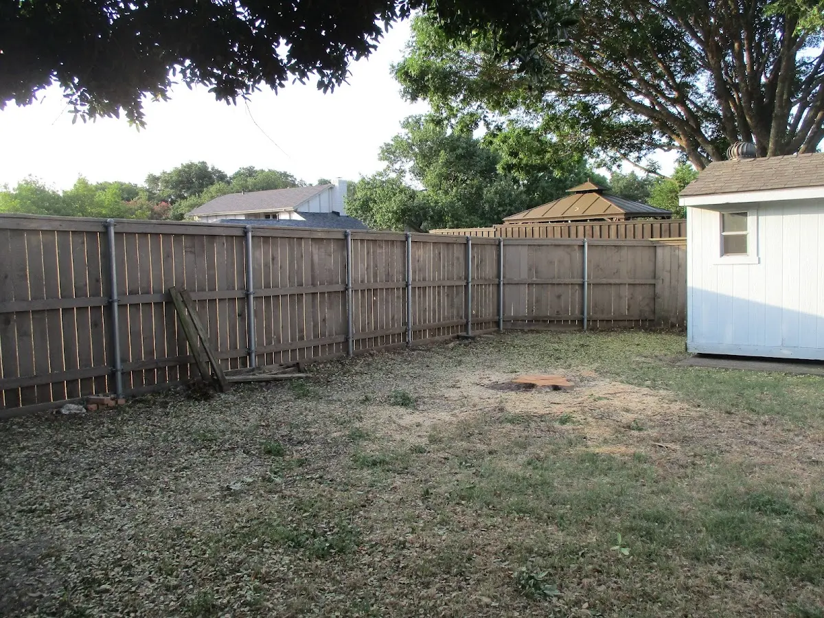 Cleared yard after professional tree removal in Loganton
